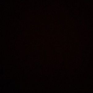 Meet your Posher, Lilly